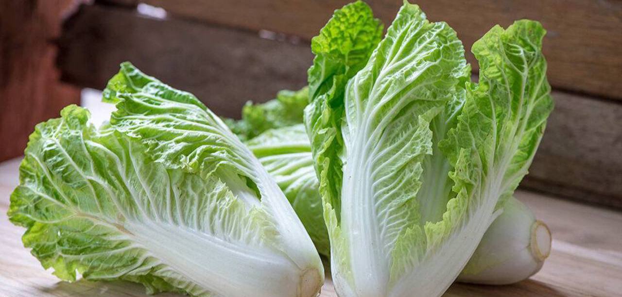 The benefits of Chinese cabbage!